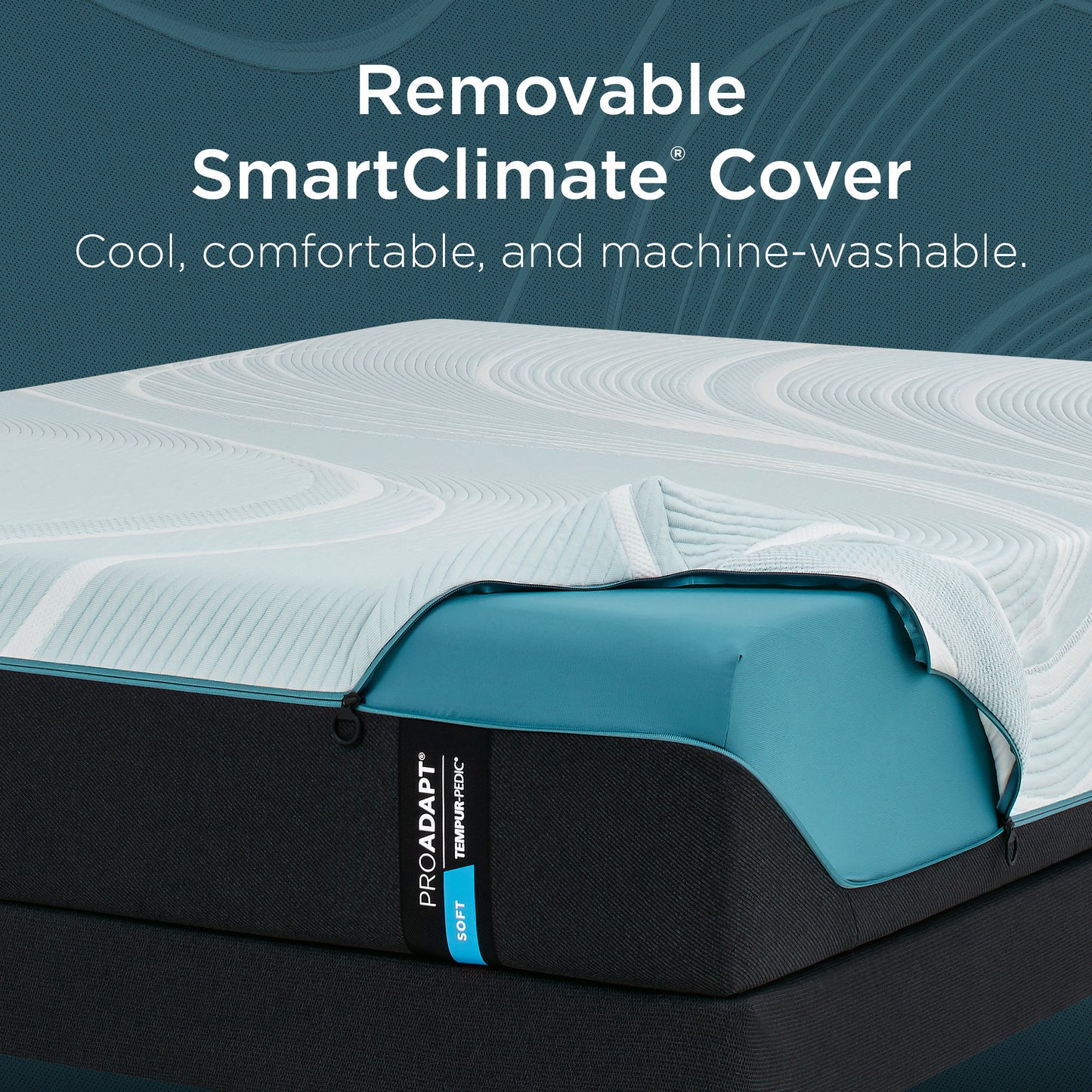 TEMPUR-ProAdapt Collection - Florida Mattress