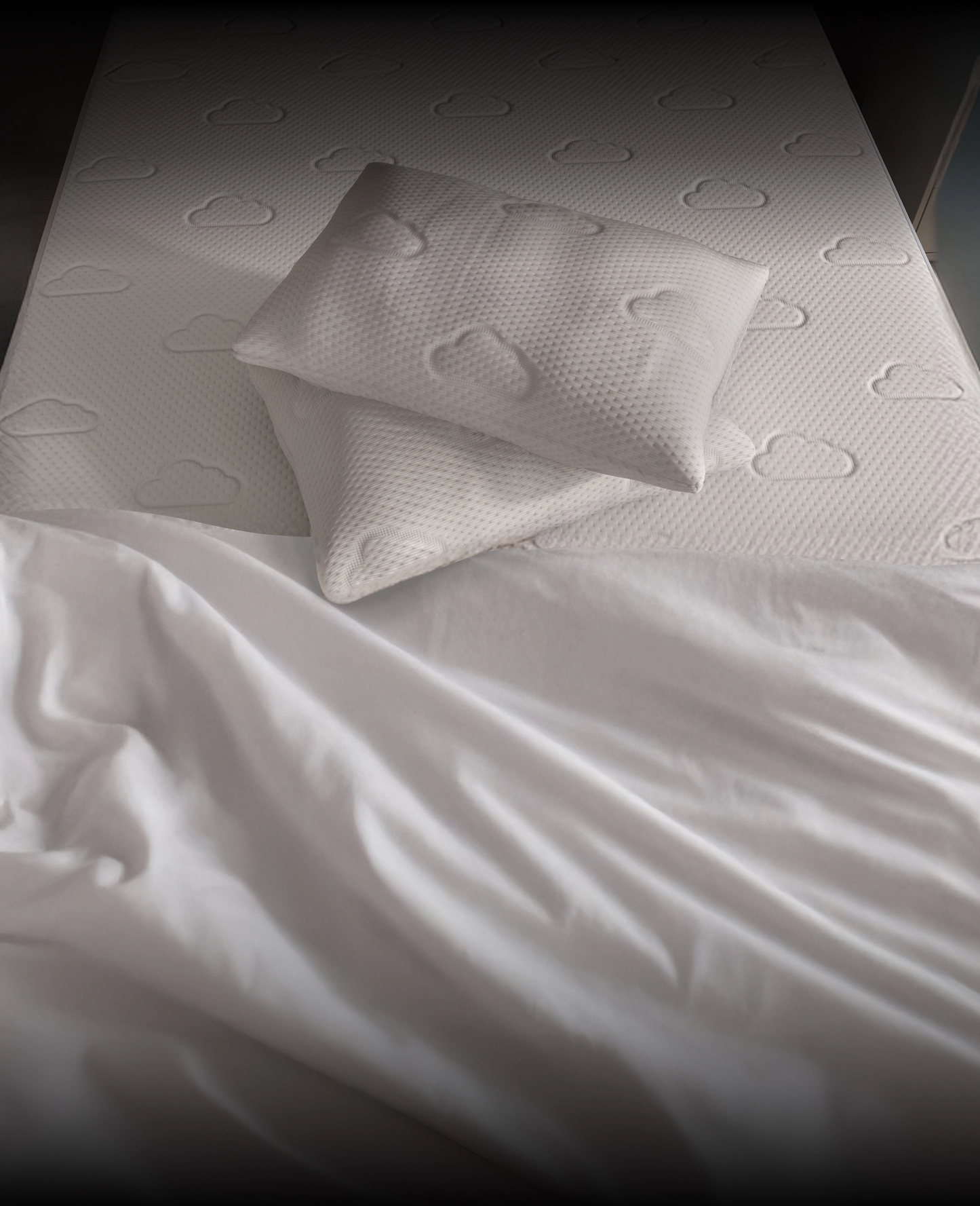 Puffy Signature Pillow