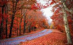Why Your Sleep Doesn't Improve in Fall (And What Actually Matters in Florida)