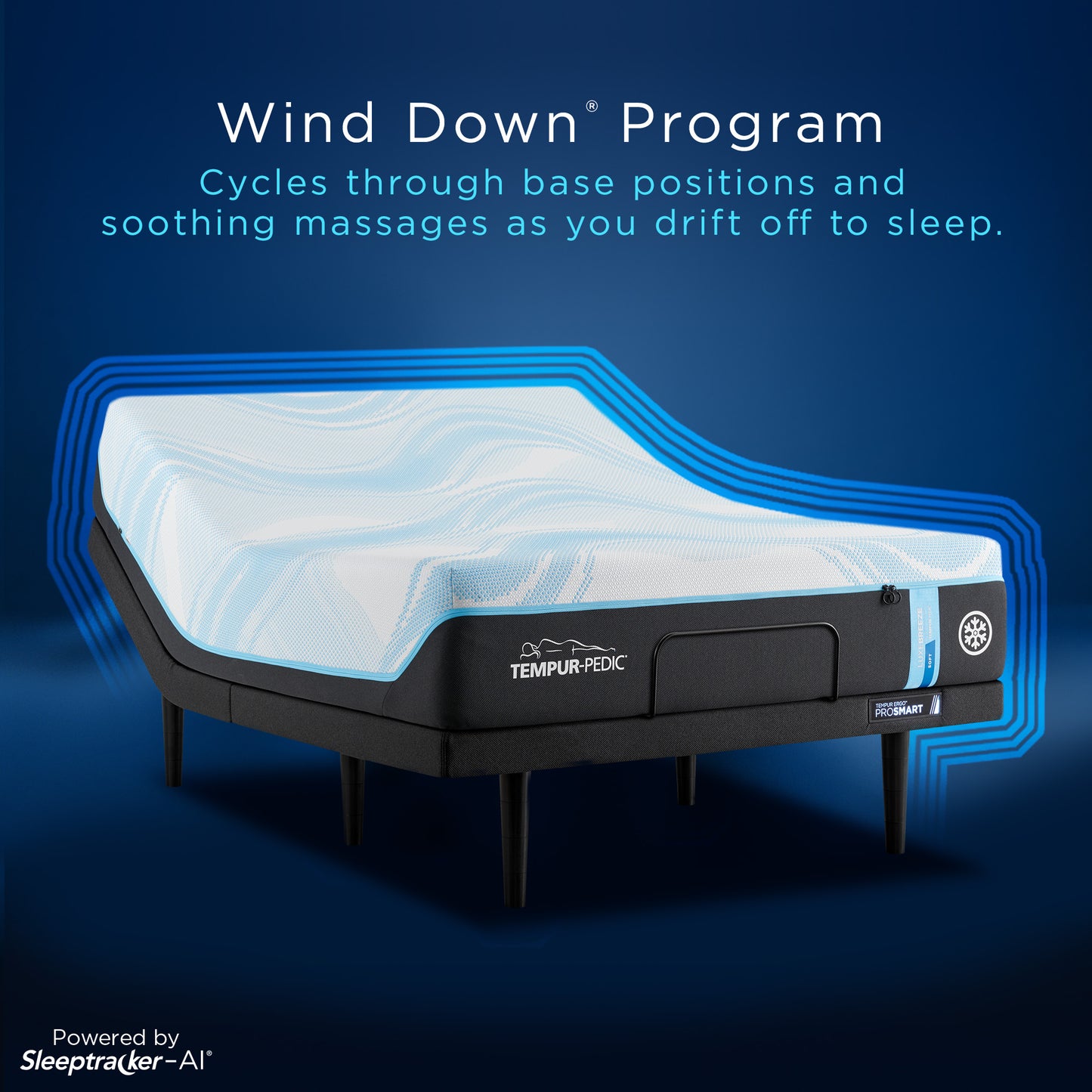 2025 Tempurpedic Ergo Bases - Florida Mattress