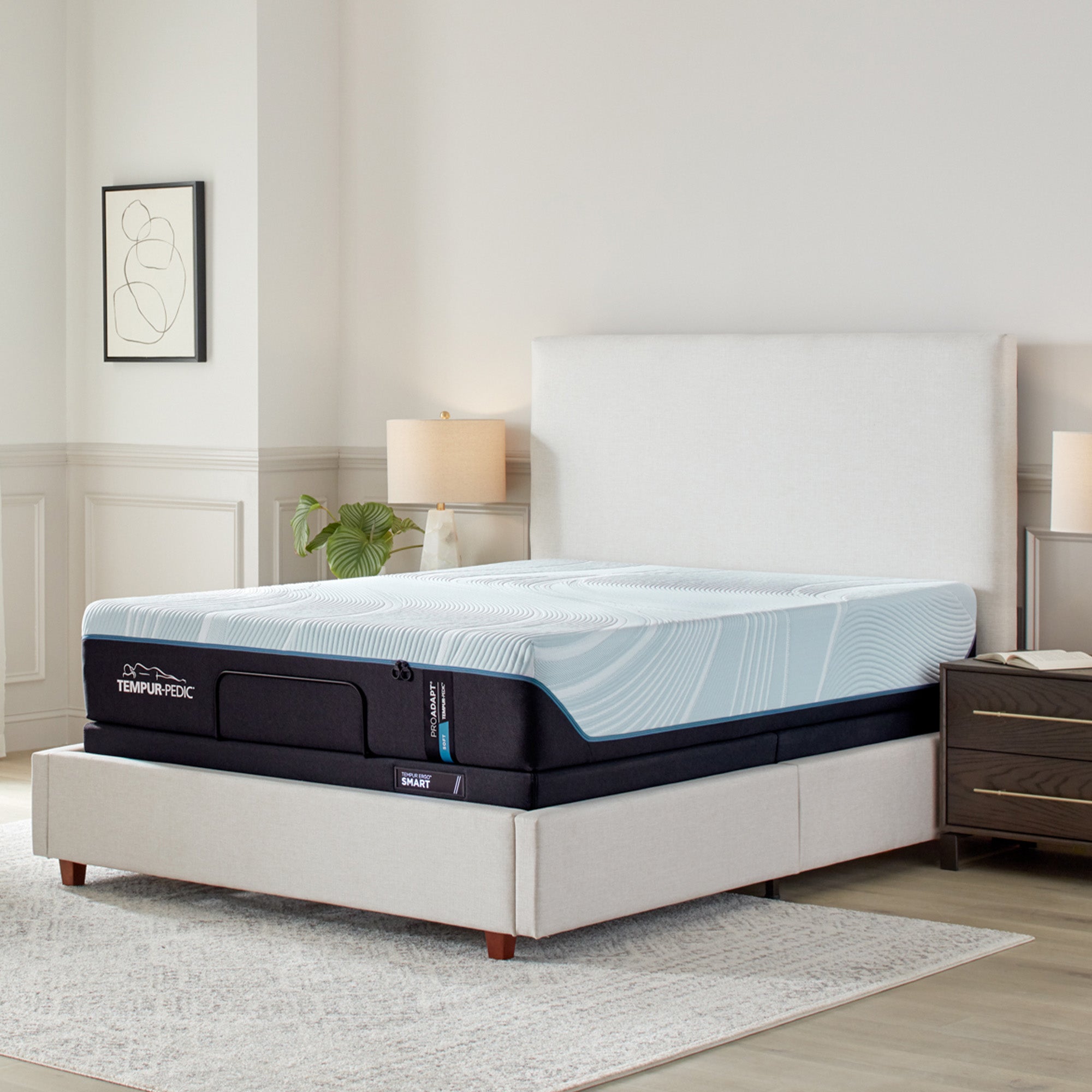 TEMPUR-ProAdapt Collection