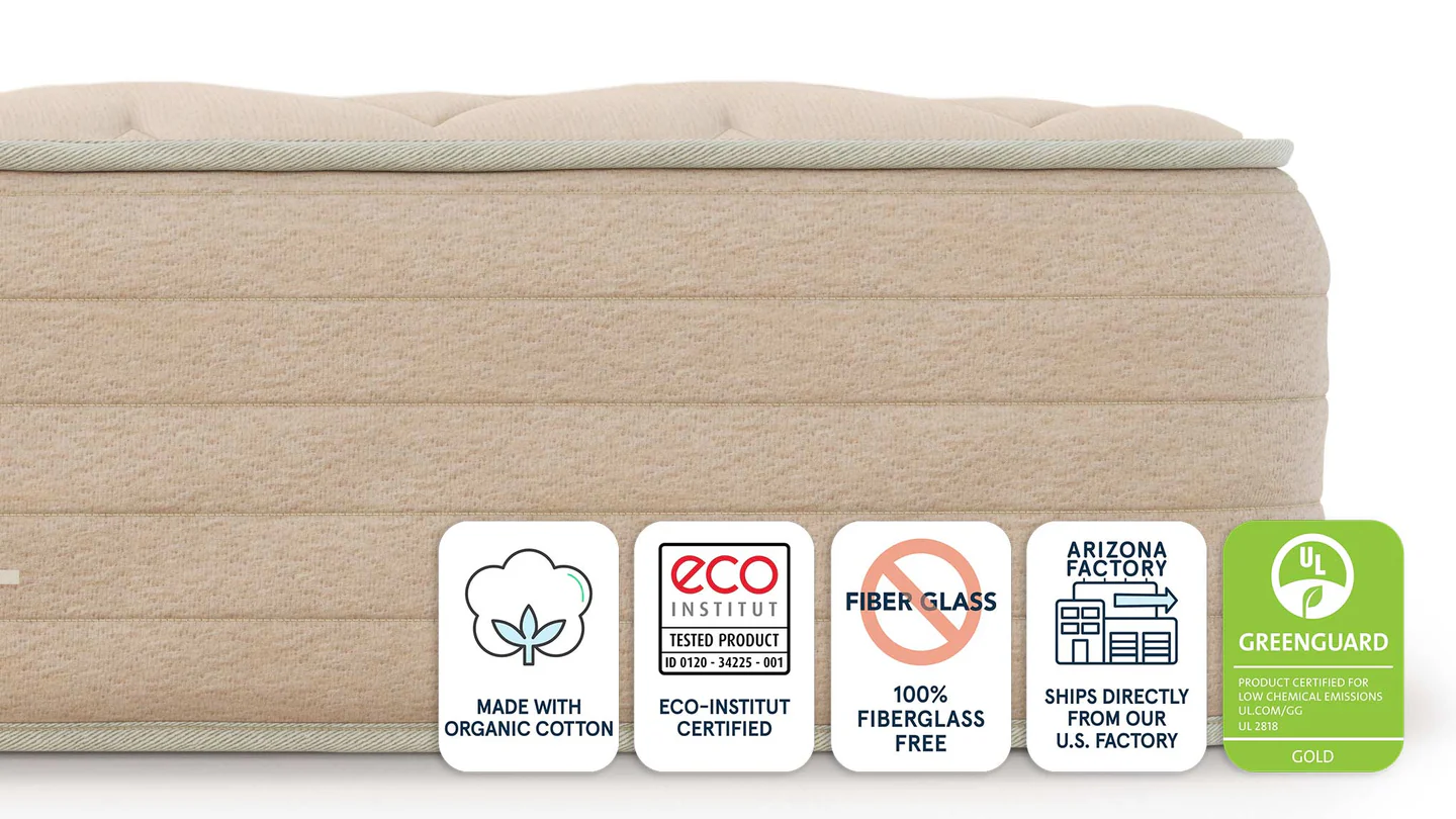 Bear Natural Mattress